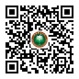 网站首页 / 资实处原网站